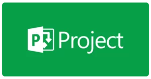 Formation MS Project 2016/2019