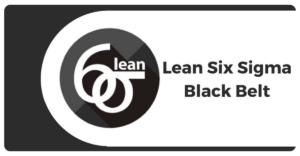 Lean six sigma black belt