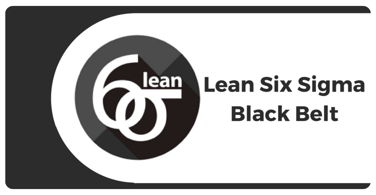 Lean six sigma black belt