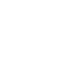 DEVELOPPEMENT C, Python, Android