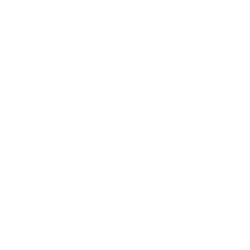Audit de la Sécurité des SI et Référenciels ISO